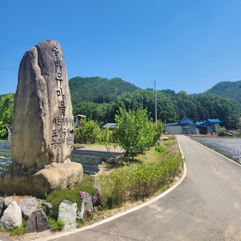 춘천몰,춘천 솔바우 농부쌀 4kg