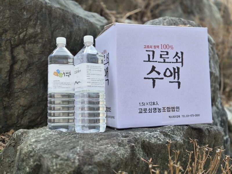 춘천몰,누리삼 고로쇠수액1.5Lx6개