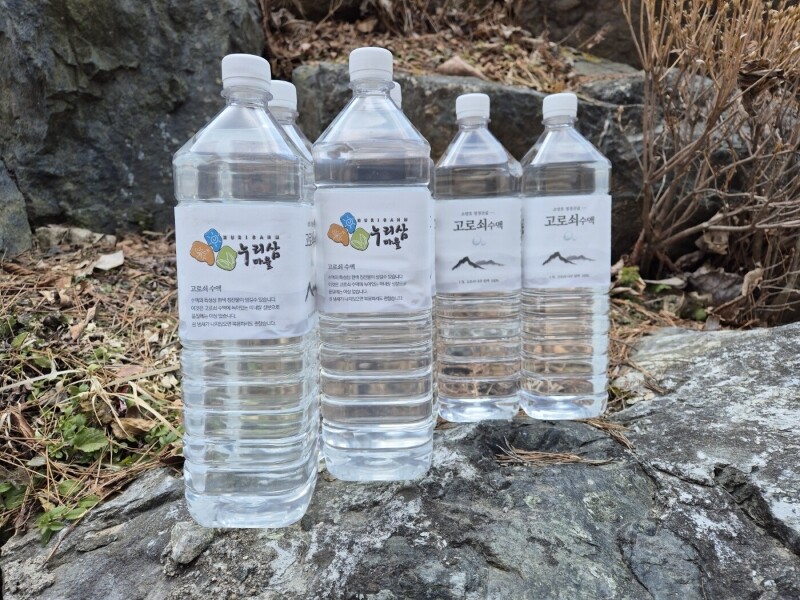 춘천몰,누리삼 고로쇠수액1.5Lx6개