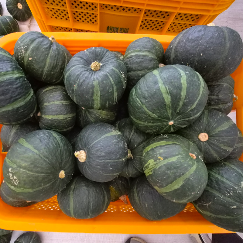 춘천몰,26년 솔바우 미니단호박3.5kg