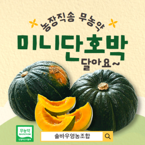 26년 솔바우 미니단호박3.5kg
