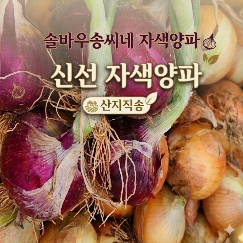 강원더몰,[라이브특가]솔바우 송씨네 자색양파 10kg