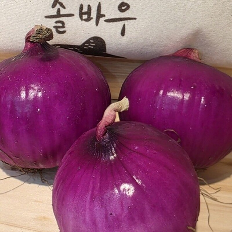 강원더몰,[라이브특가]솔바우 송씨네 자색양파 10kg
